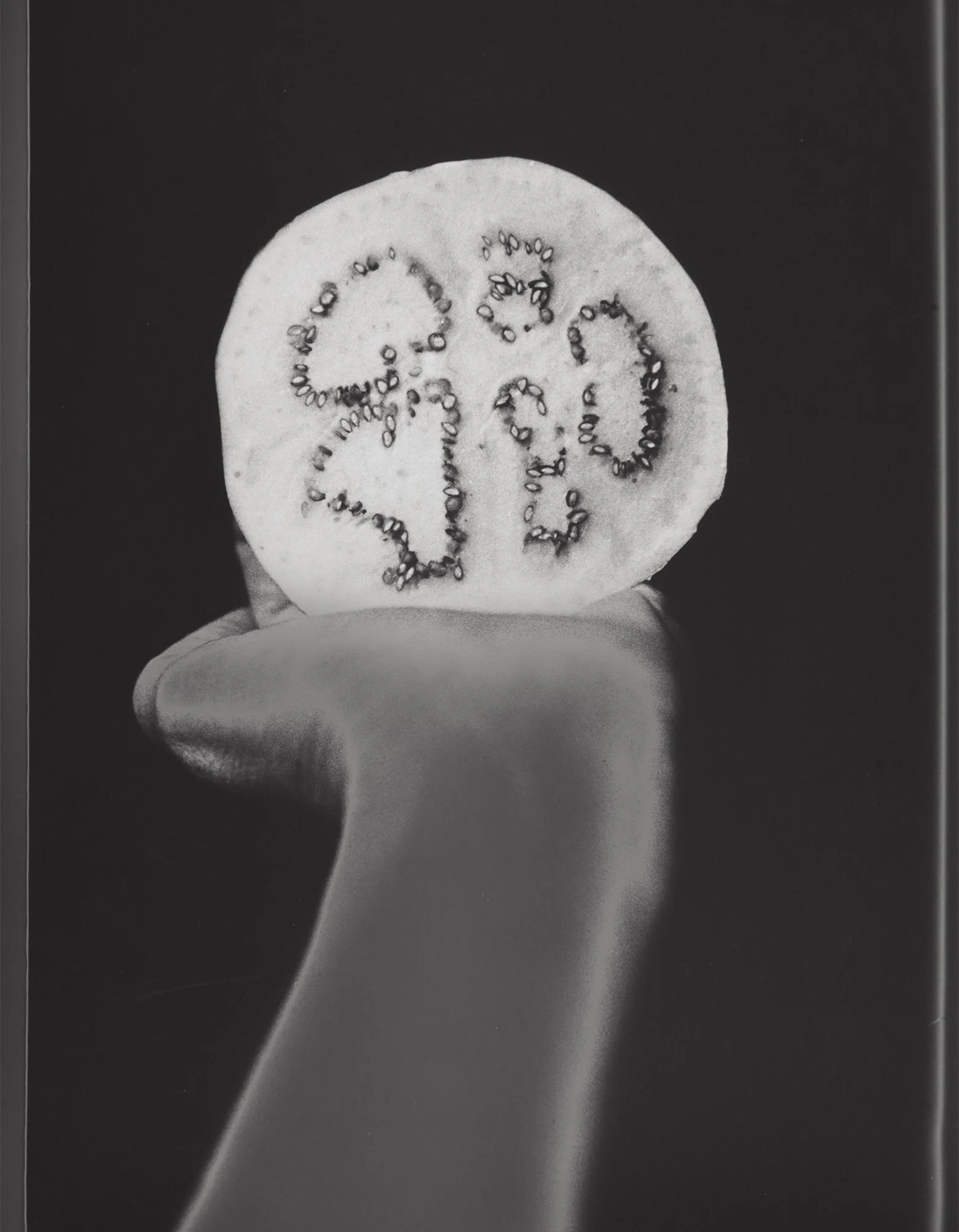 洋書　Ann Mandelbaum　アン・マンデルバウム写真集 Ann Mandelbaum